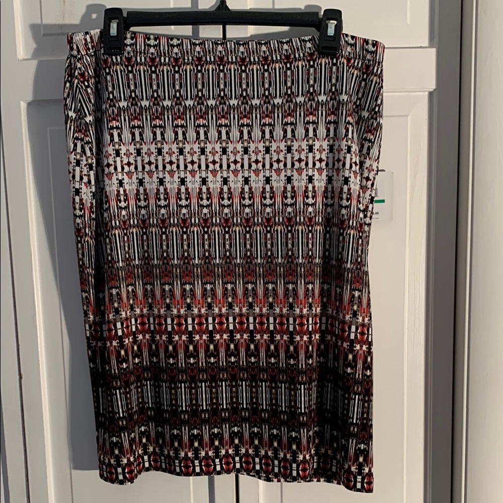 Rafaella Multi-colored Knee-length Full Skirt 🆕